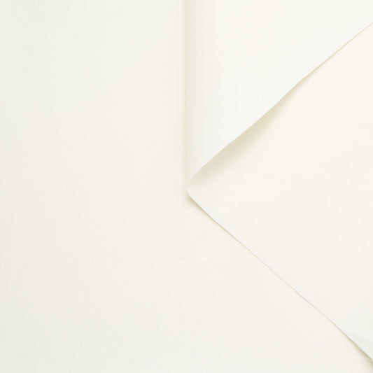 Washed Cotton Twill