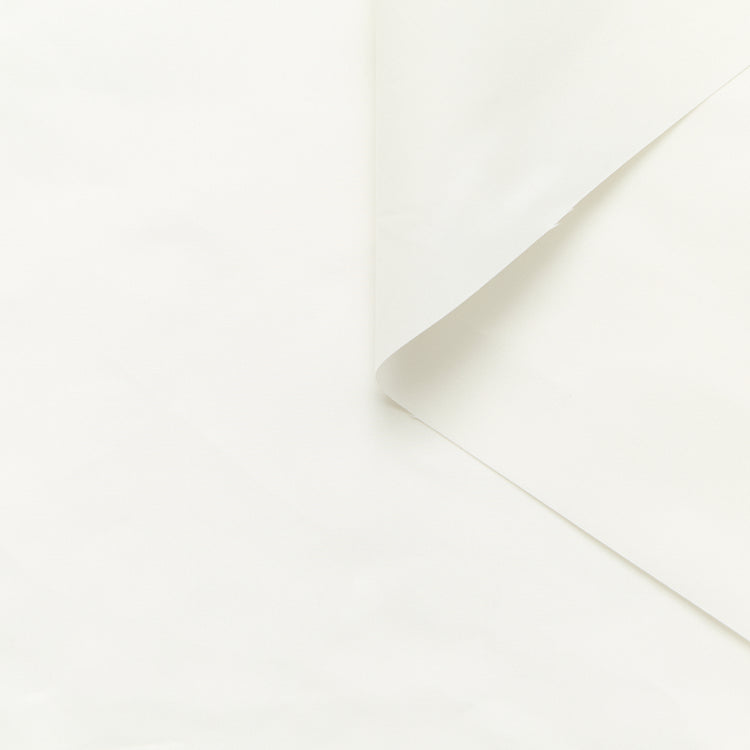 Cotton & Silk Poplin